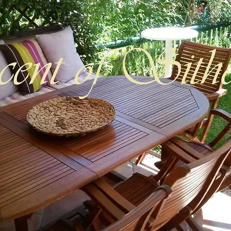 Beachfront Scent Of Sithonia With Pool, Gerakini, Halikidiki * ゲラキニ