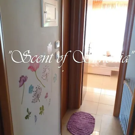 Σπίτι διακοπών Beachfront Scent Of Sithonia With Pool, Gerakini, Halikidiki *